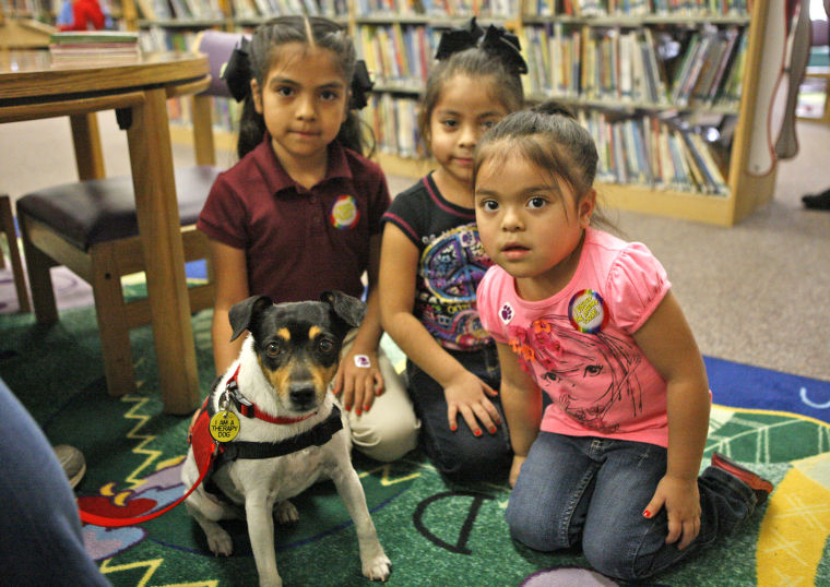 Canine Companion: Therapy dogs at library help children
