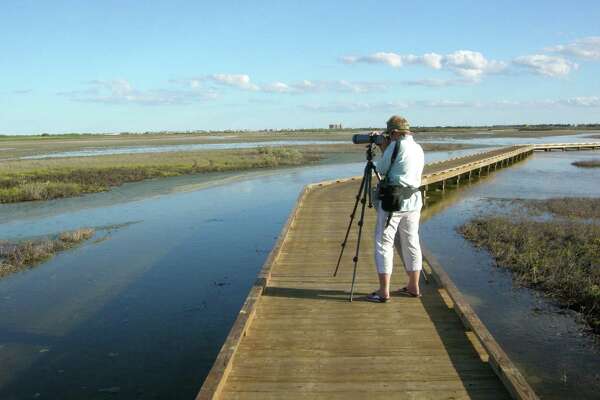 Catch More Than Waves In Port Aransas Houstonchronicle Com