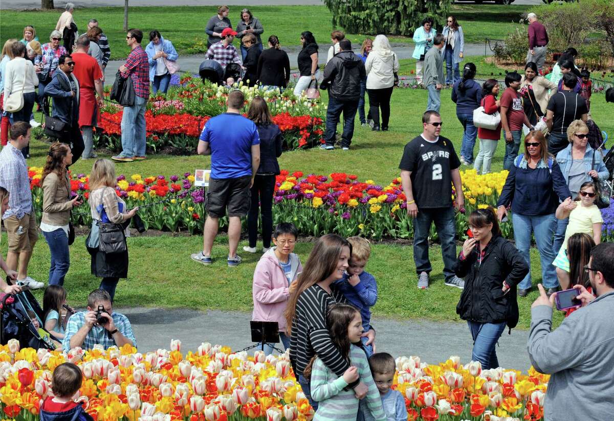 Albany Tulip Festival, Day 2