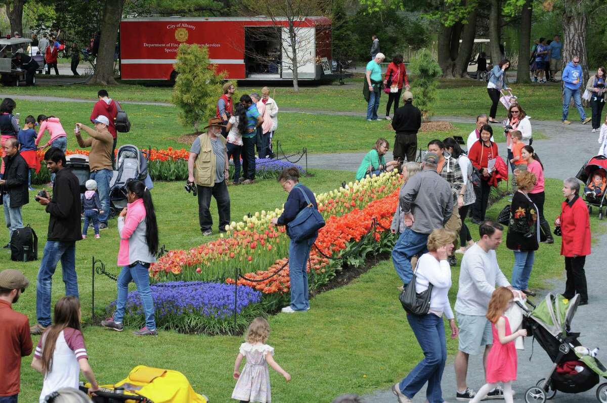 Albany Tulip Festival, Day 2
