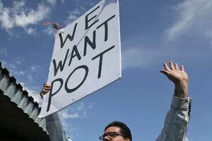 ‘Marijuana march’ builds support for grass-roots reform