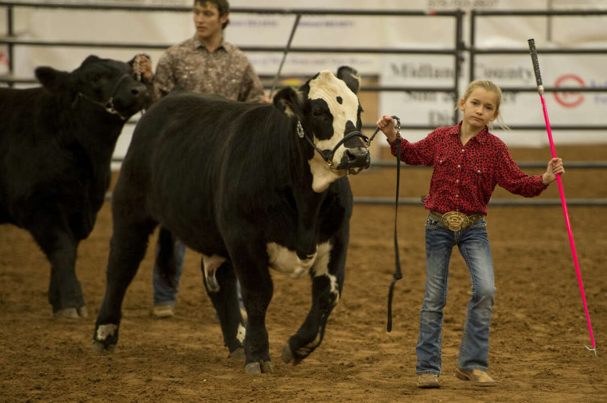 The 67th annual Midland County Livestock Show at the Horseshoe Arena Through Jan. 12 at 2514 Arena Trail. 