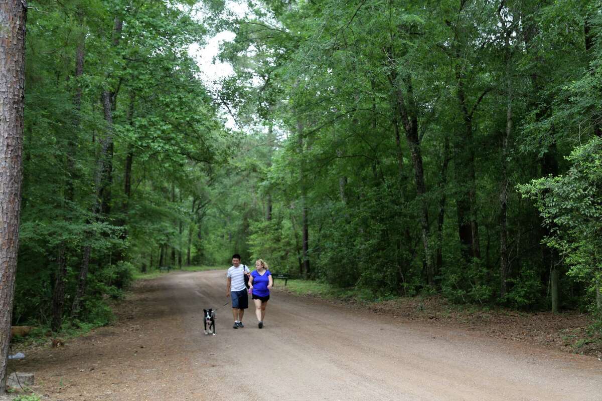 Lake Houston Wilderness Park, 30 miles northeast of downtown, gets packed with eager visitors on the weekends. Houston ranked 49th out of 60 for "walkable park access" - a green space within a half-mile.