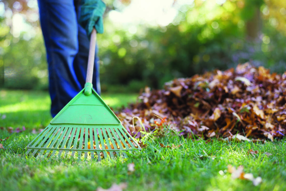Now is the time to startsaving those sun-damaged summer lawns.