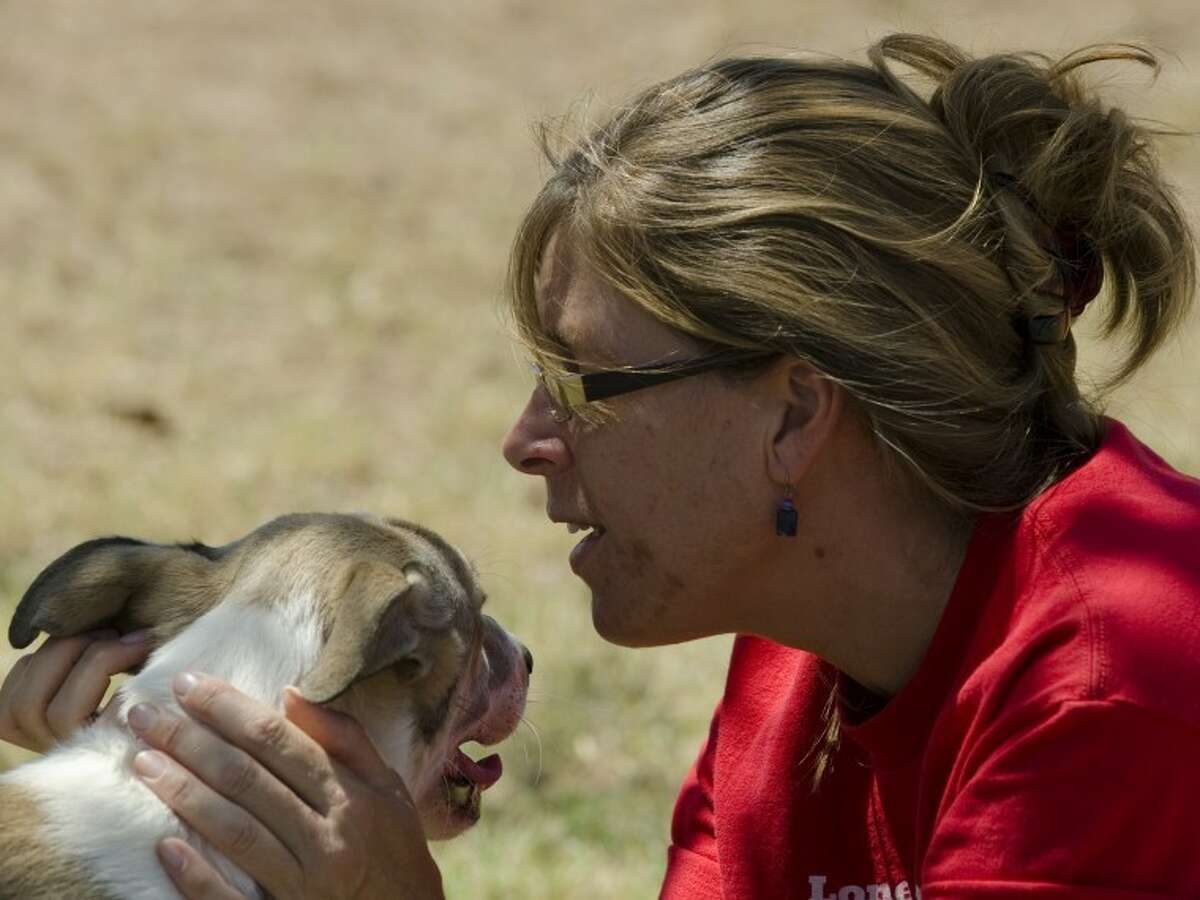 Jen Severud, new dog trainer at Lone Star SPCA, rubs one of the new dogs, Chewy, Tuesday afternoon during a training session. Tim Fischer/Reporter-Telegram