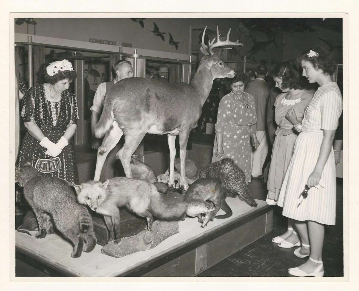 Vintage photos: Stamford Museum & Nature Center