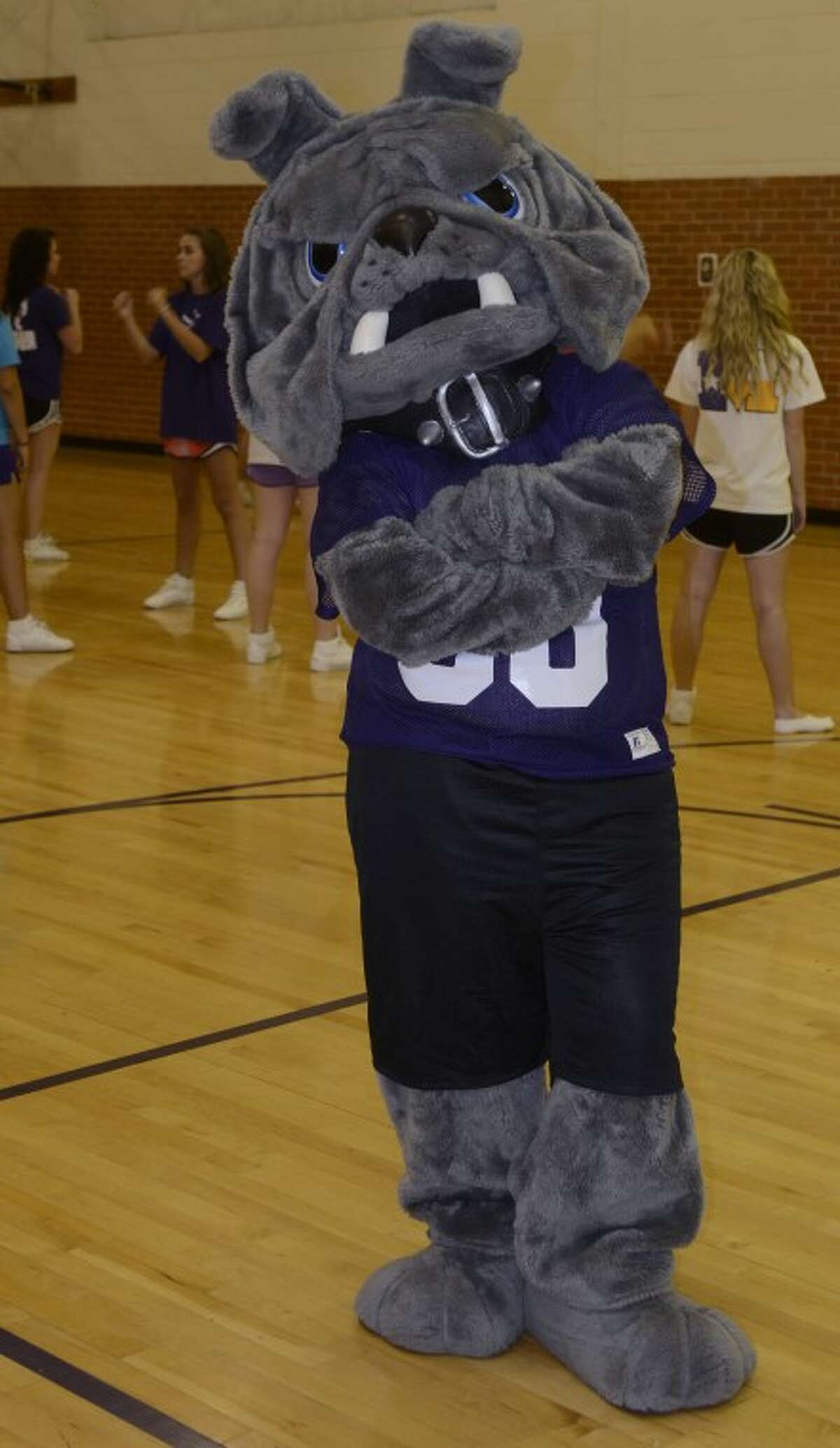 Mascot duty allows students to have double identity