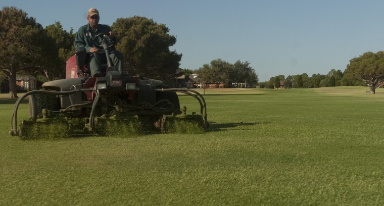 Jeff Floyd: A checklist for selecting the right grass
