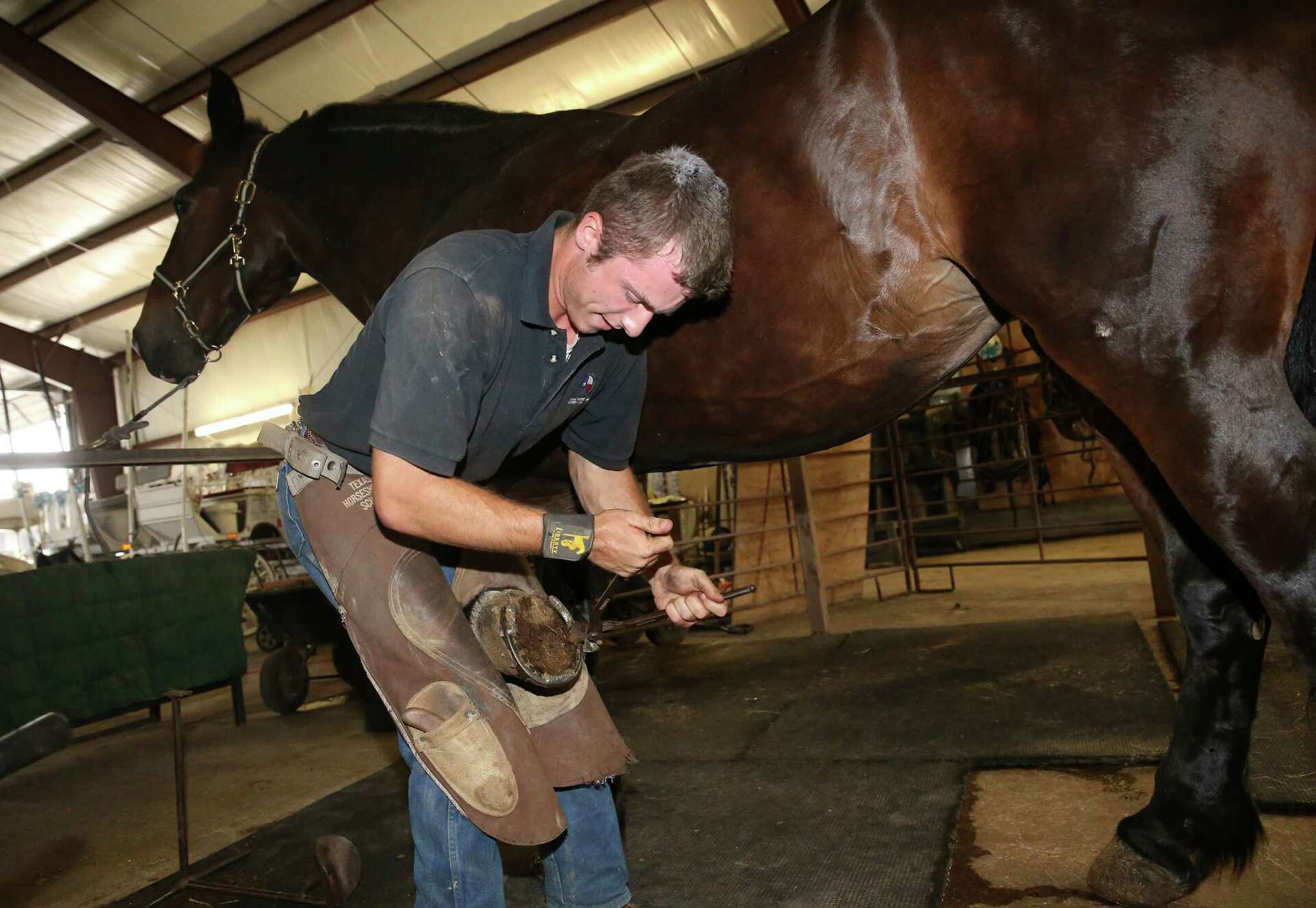 Young farrier carries on the ancient art of horseshoeing