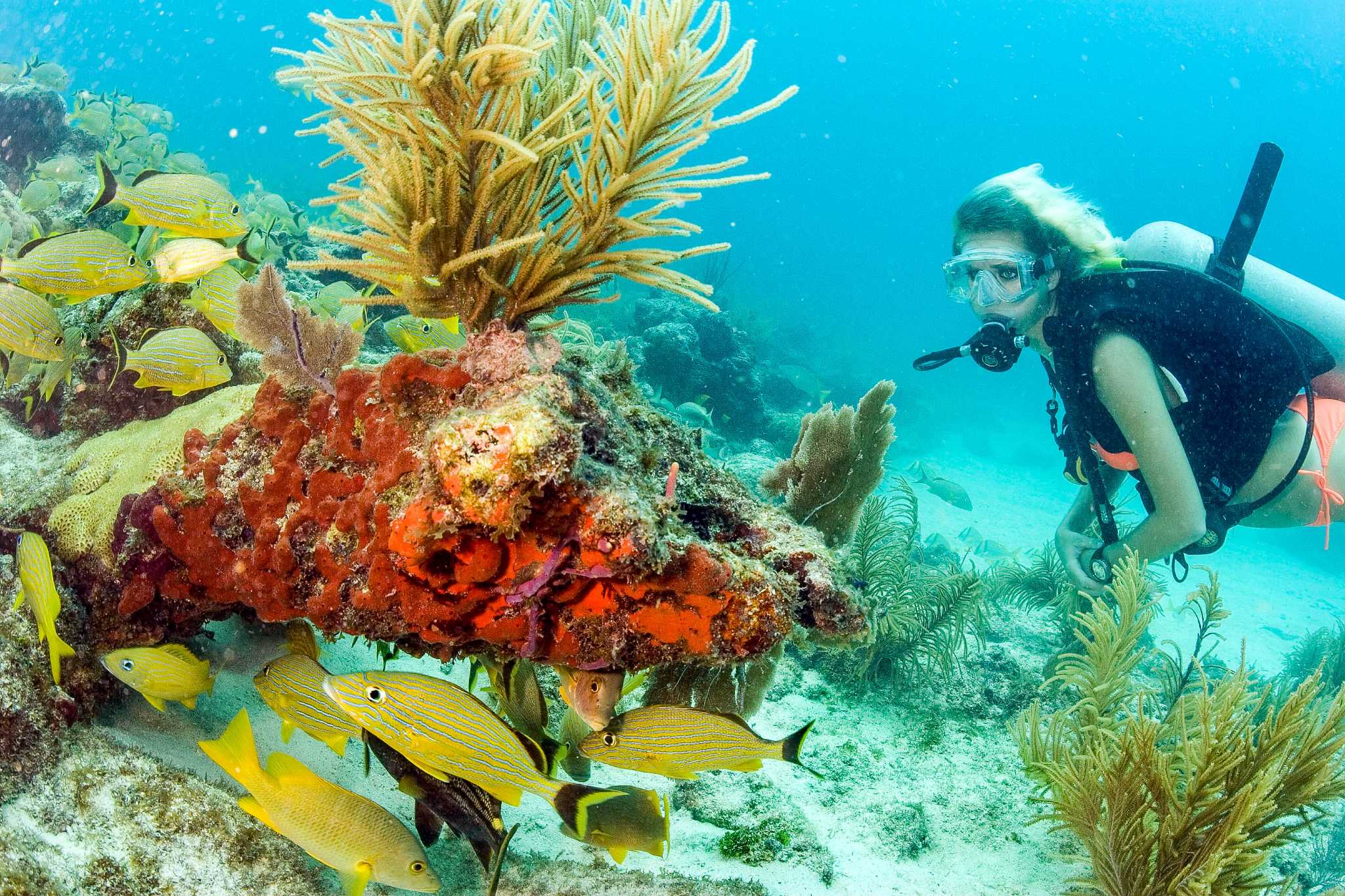 The life aquatic awaits in Texas