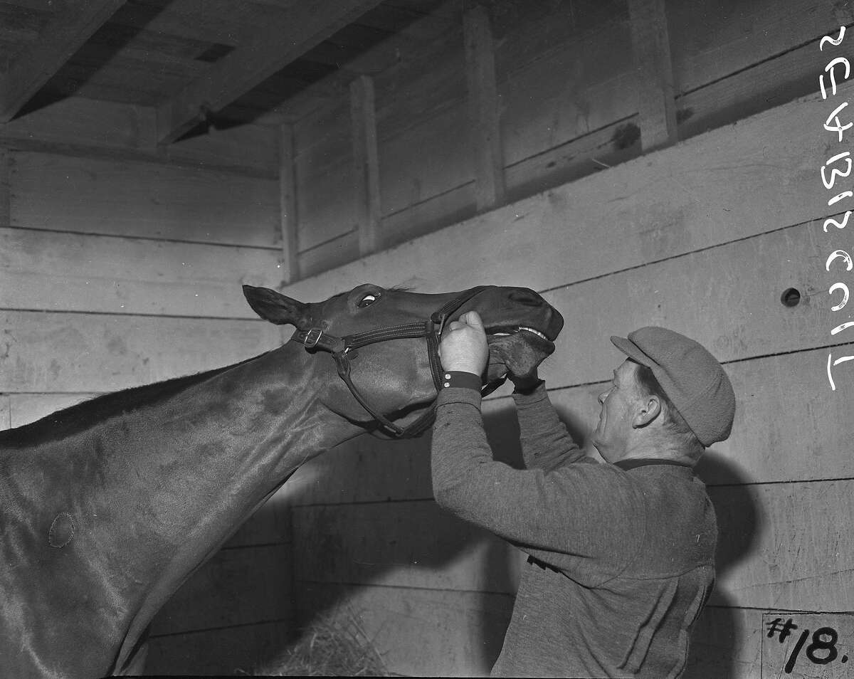 When Seabiscuit galloped into Northern California retirement