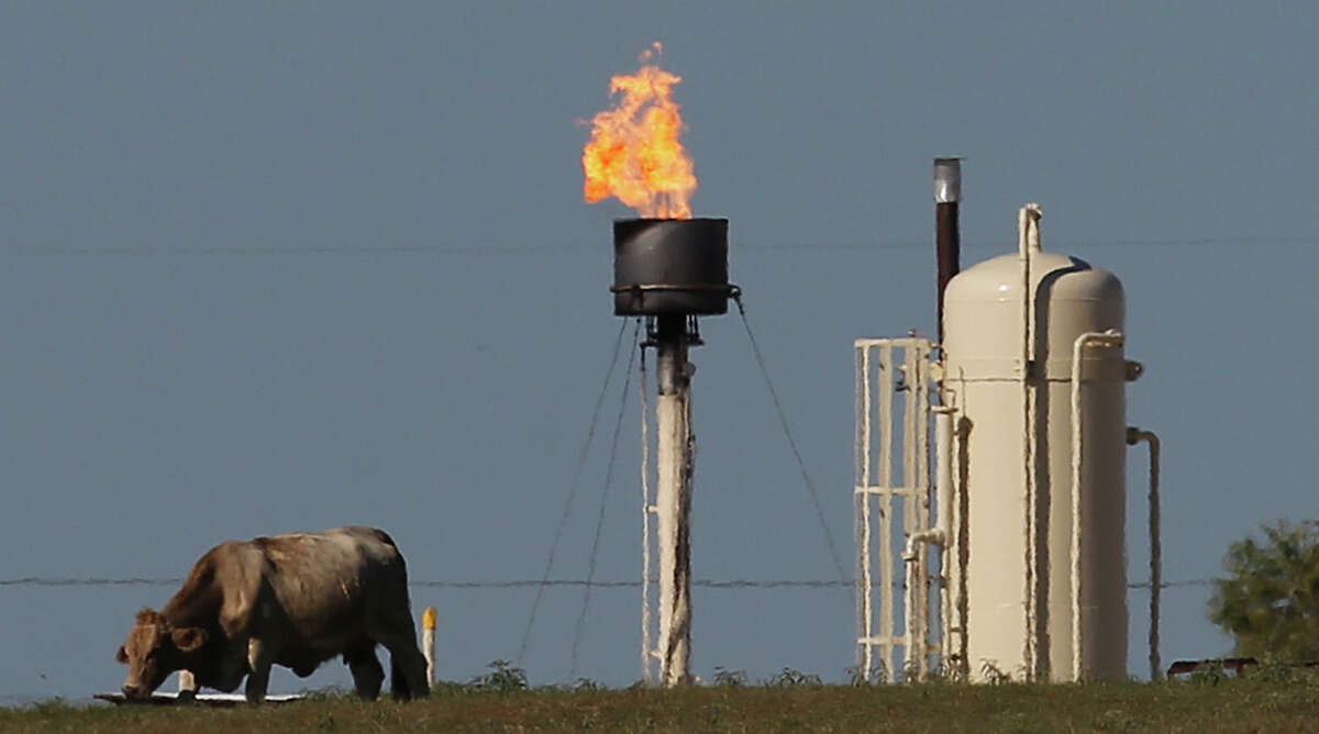 Cattle roam on their land as a flaring stack burns off excess gas in Karnes City. The regulations would require oil companies to find and fix leaks in new wells and at equipment such as pumps and storage tanks, but would not apply to existing, older wells.