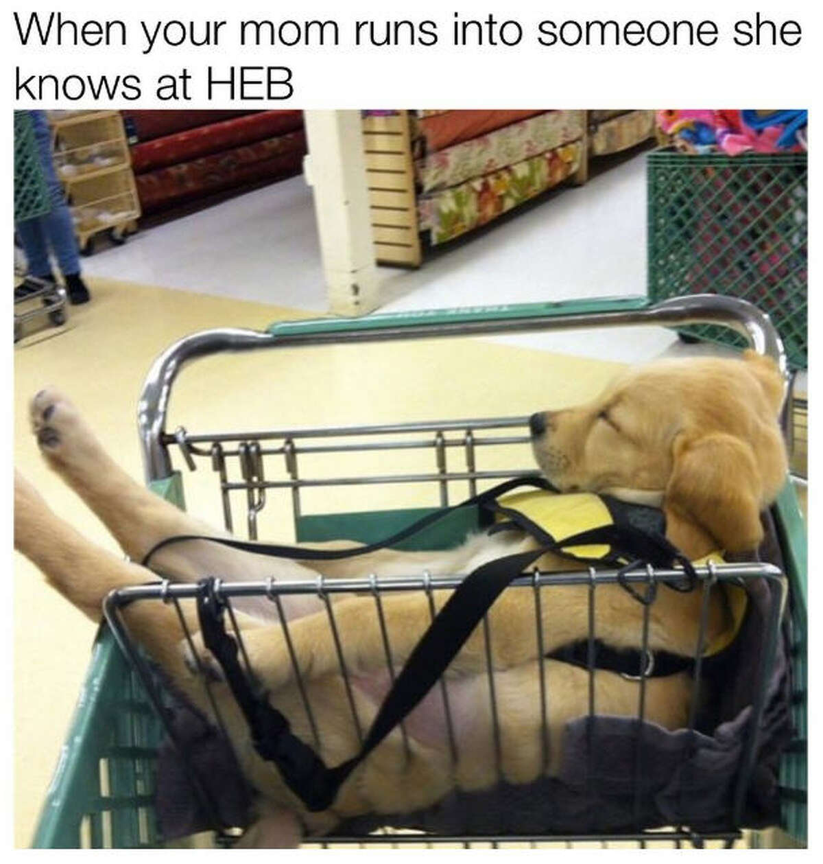 These memes perfectly describe living in Texas