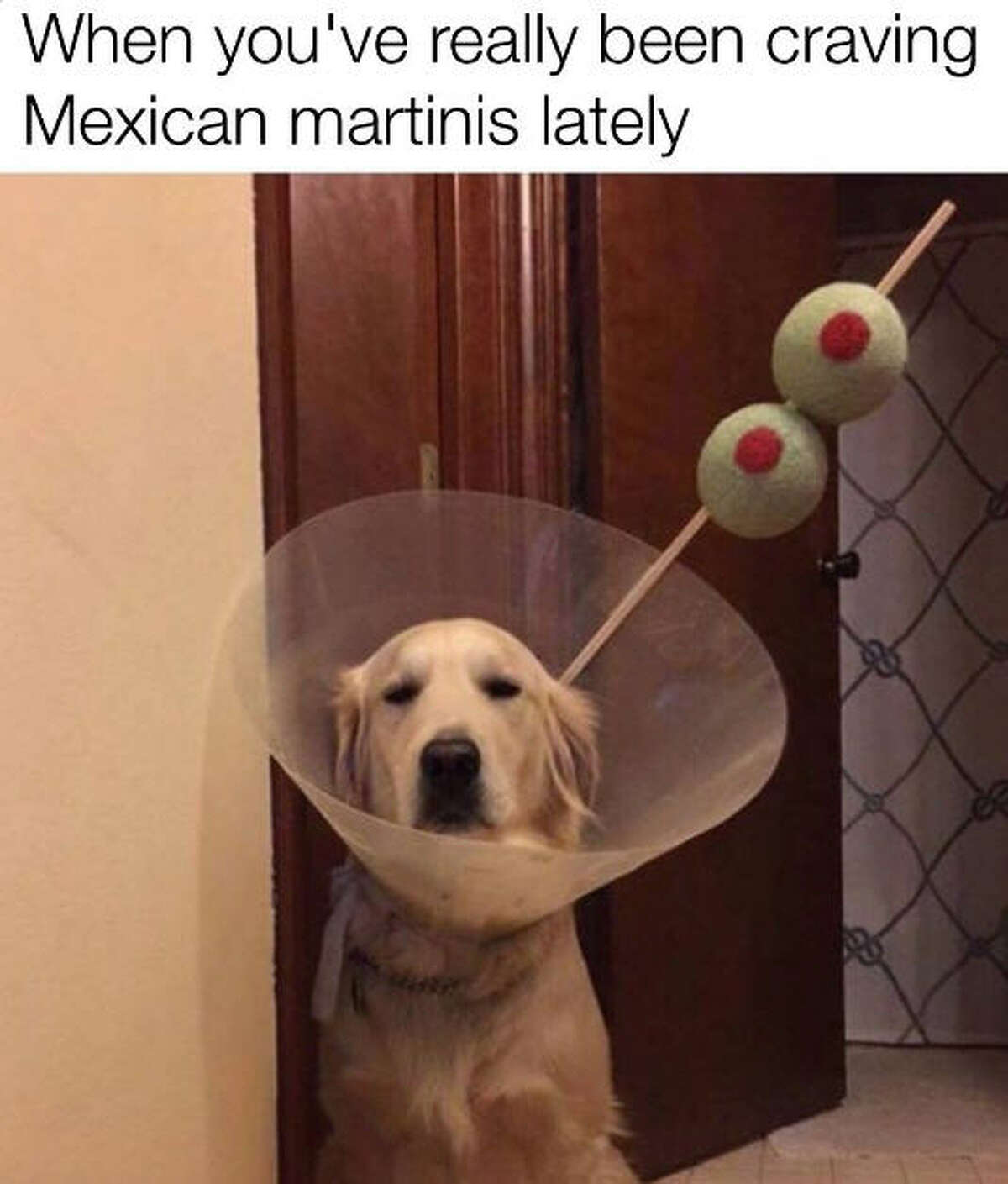 These memes perfectly describe living in Texas