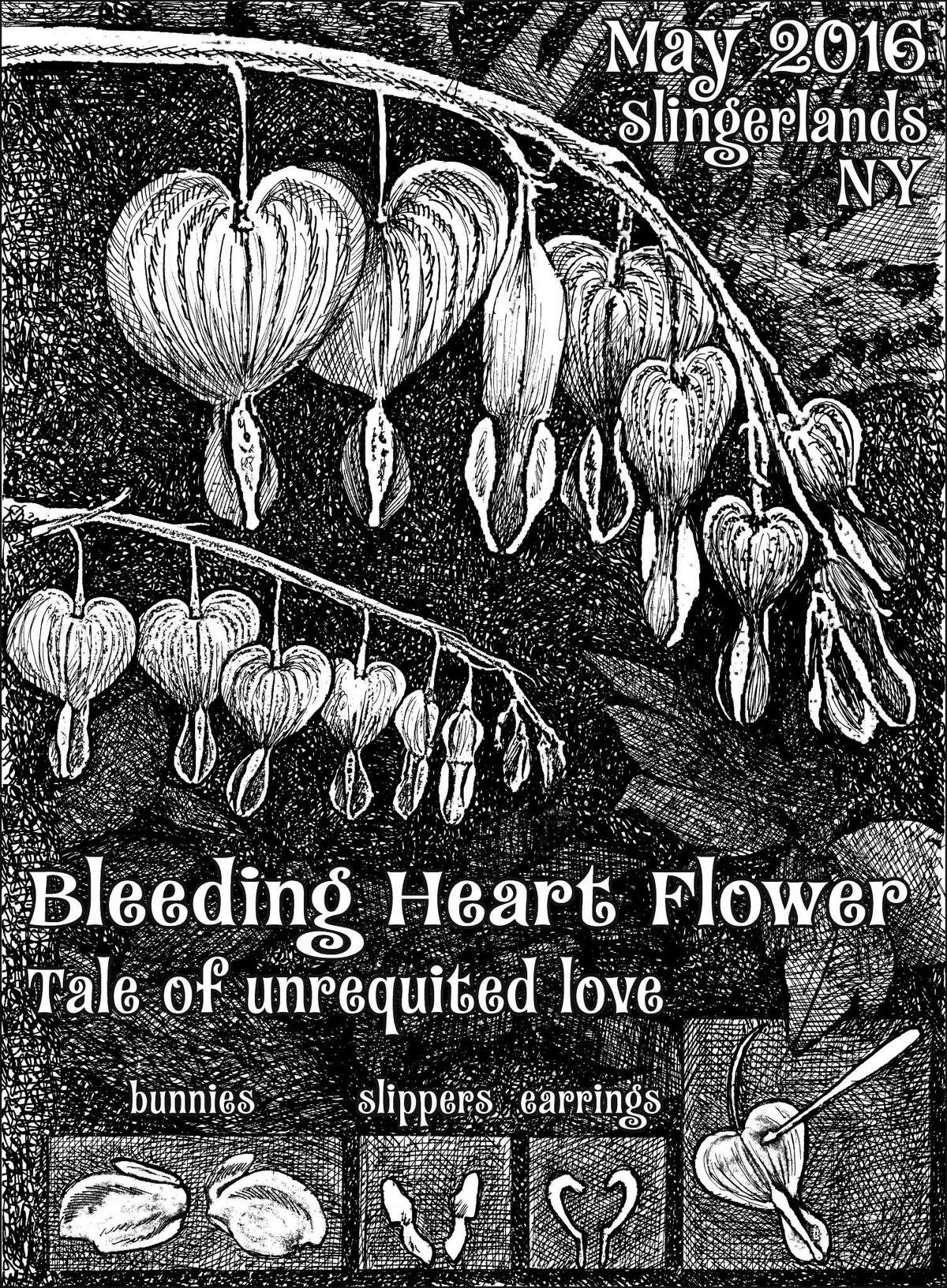 Folkloric legends were once used to explain the unique features of flora. Bleeding hearts are associated with tragic stories of unrequited love, told centuries ago, often while delicately peeling apart one of the plant's red-pink-white heart-shaped flowers, using each piece as a prop. (Carol Coogan)