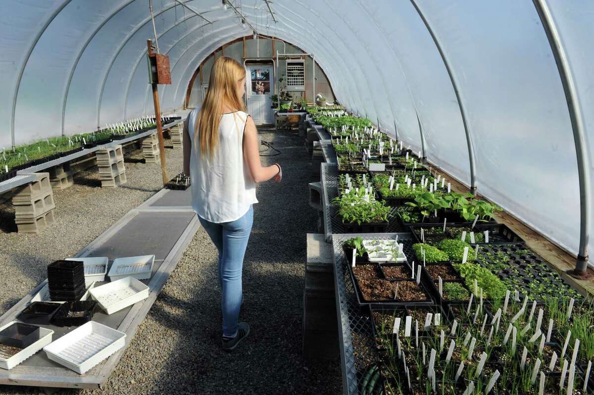 St. Anne Institute uses gardening to nurture teens