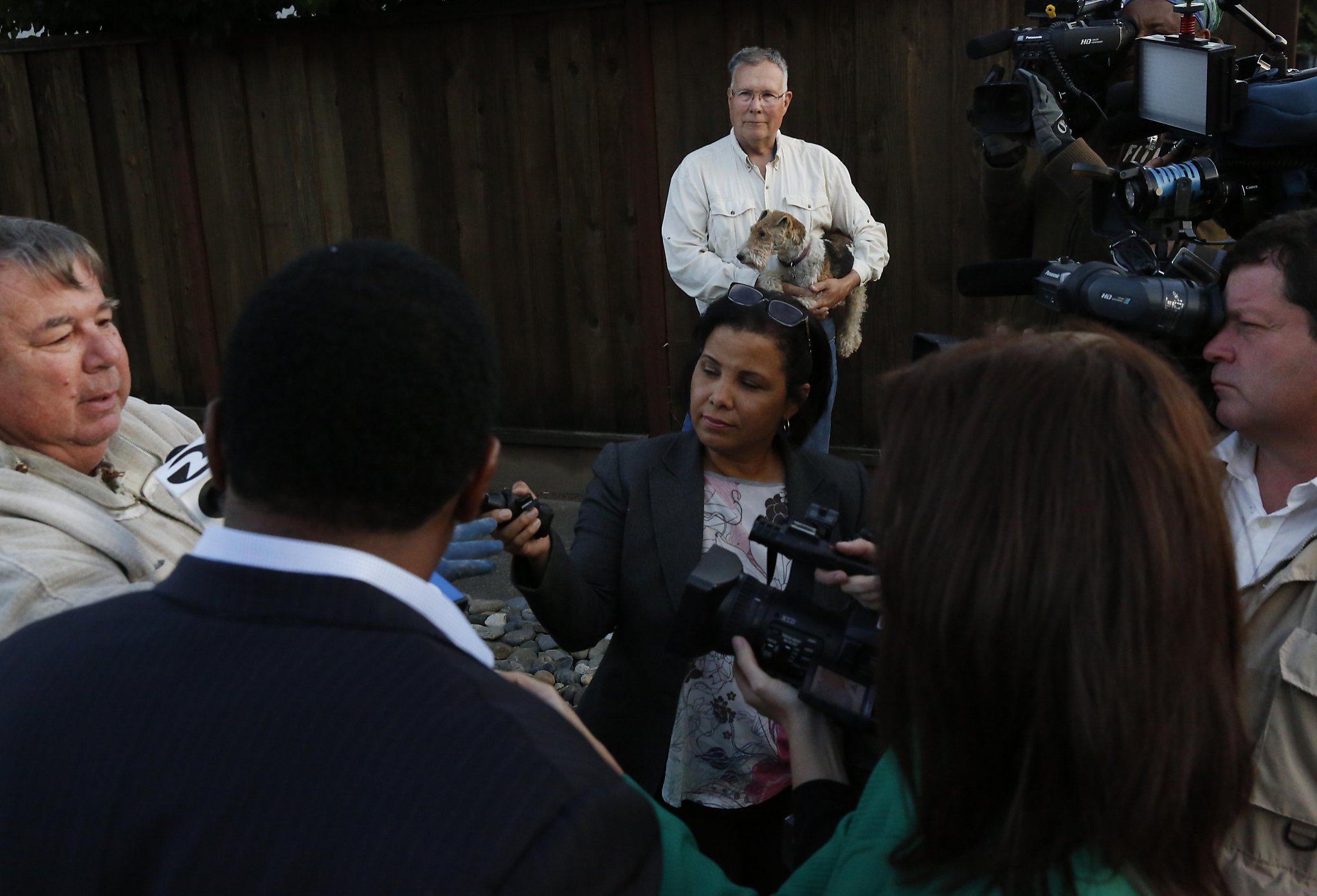 How bee rampage terrorized neighborhood