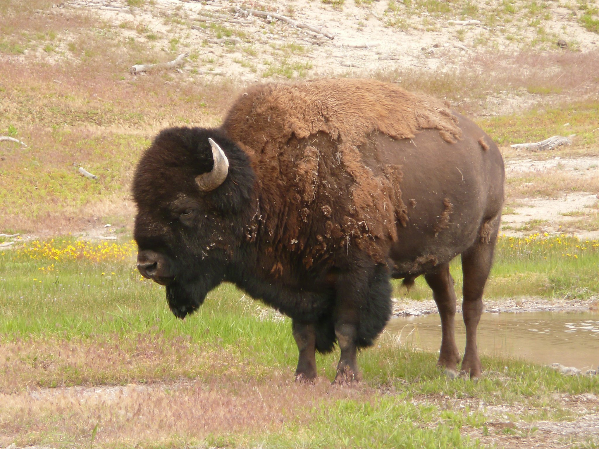 Most Popular Vacation Places