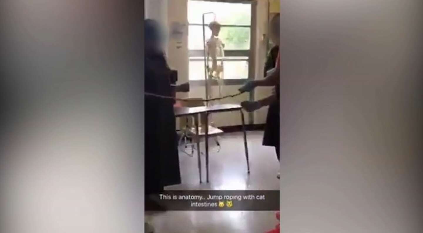 School defends video of San Antonio students jumping rope with cat
