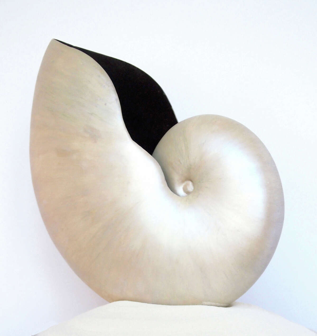 Lone Star College-CyFair Art Department presents artist Cintia Rico with "Around Beauty" now through June 3 in the Bosque Gallery. The exhibit celebrates the beauty of curves This artwork is called "Golden Spiral."