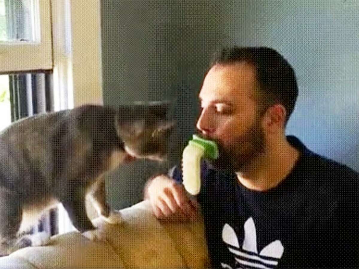 This weird plastic tongue made so humans can lick their cats is next level bizarre