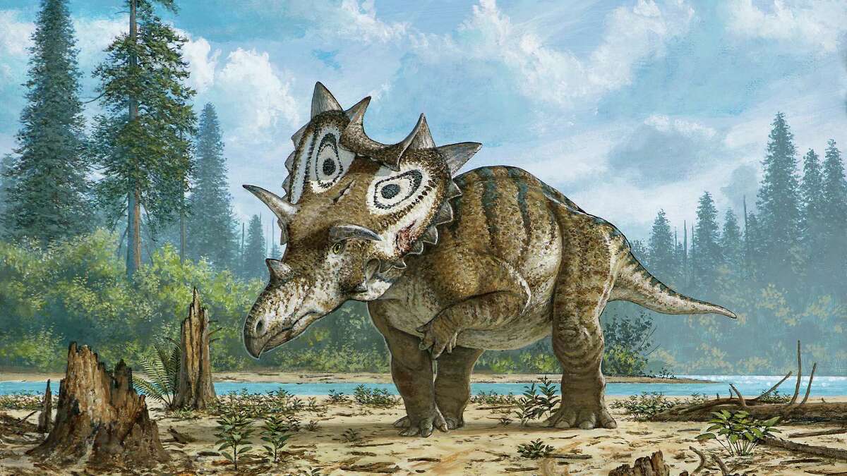 horned t rex like dinosaur