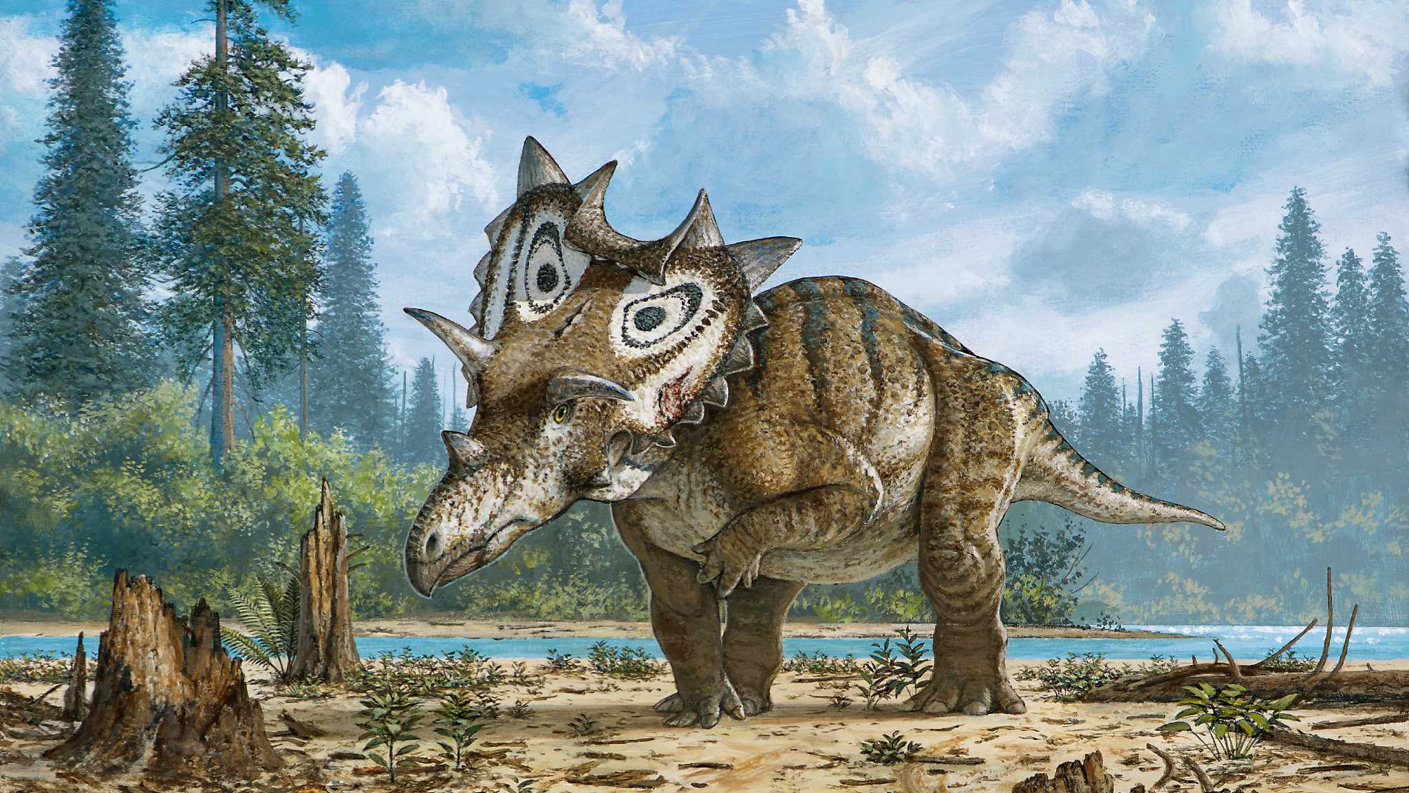 horned dinosaur carnivore