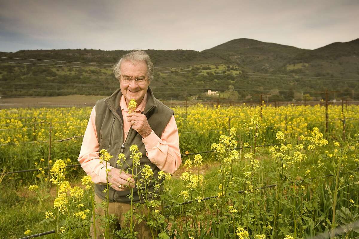 Warren Winiarski, recently sold his Stag's Leap Winery Cellars for $185 million and won the Judgment of Paris in 1976. He is now in semi-retirement, but still active in the vineyard. Photo of Warren, sniffing mustard green flowers in his Arcadia Vineyard that was not part of the sale and kept for himself. This is Block 1 growing Chardonnay. Craig Lee / The Chronicle