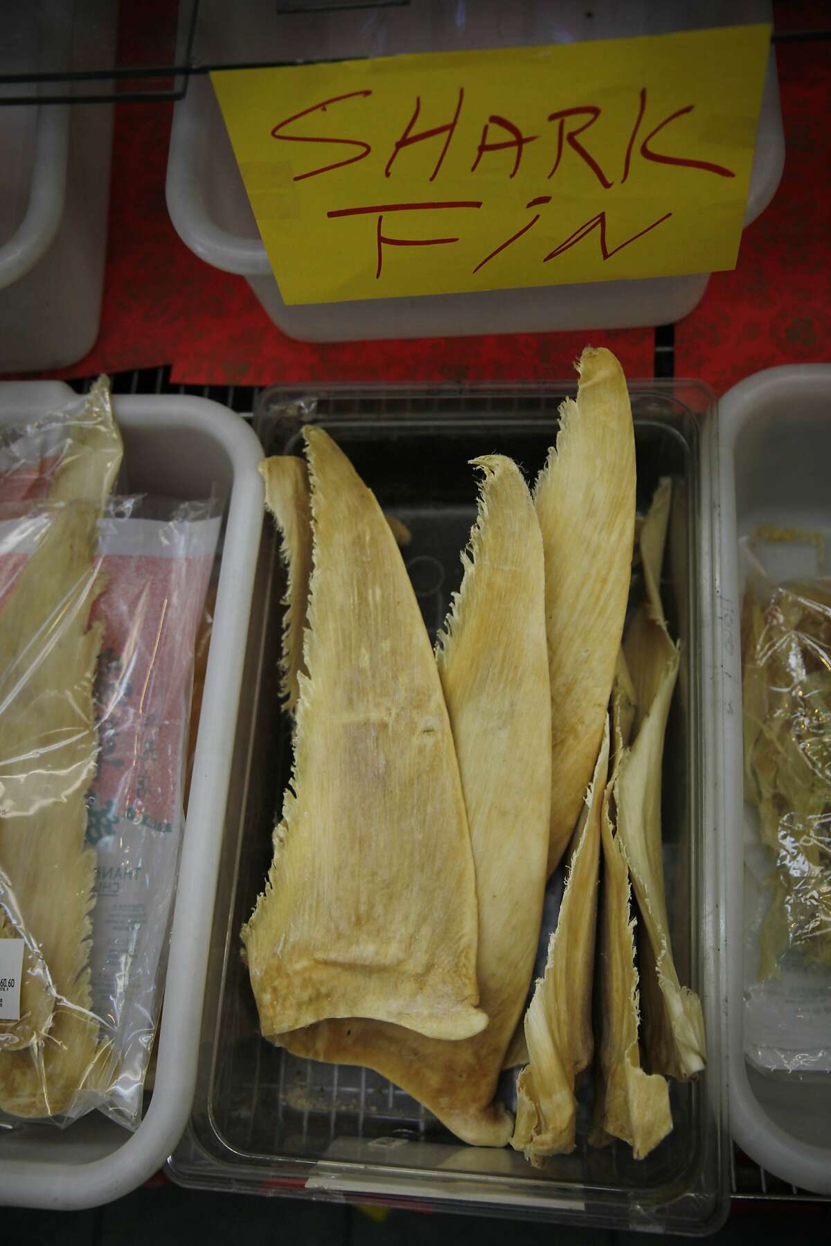 A bins filled with shark fin is seen at Chung Chou City on Friday, June 28, 2013 in San Francisco, Calif. On Monday, it will be illegal to buy, sell or possess shark fin but not shark bone.