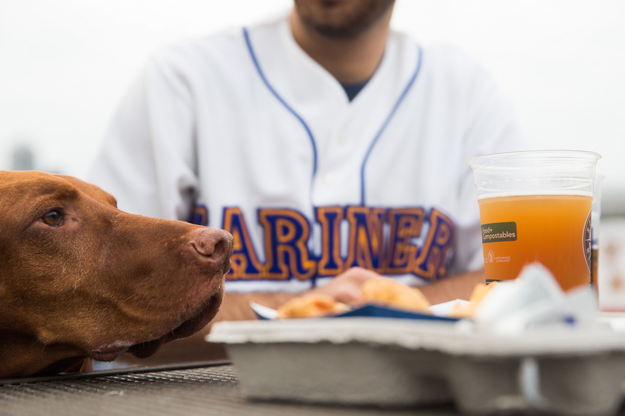 What to expect at Bark in the Park: Seattle Mariners – Olivia Michelle