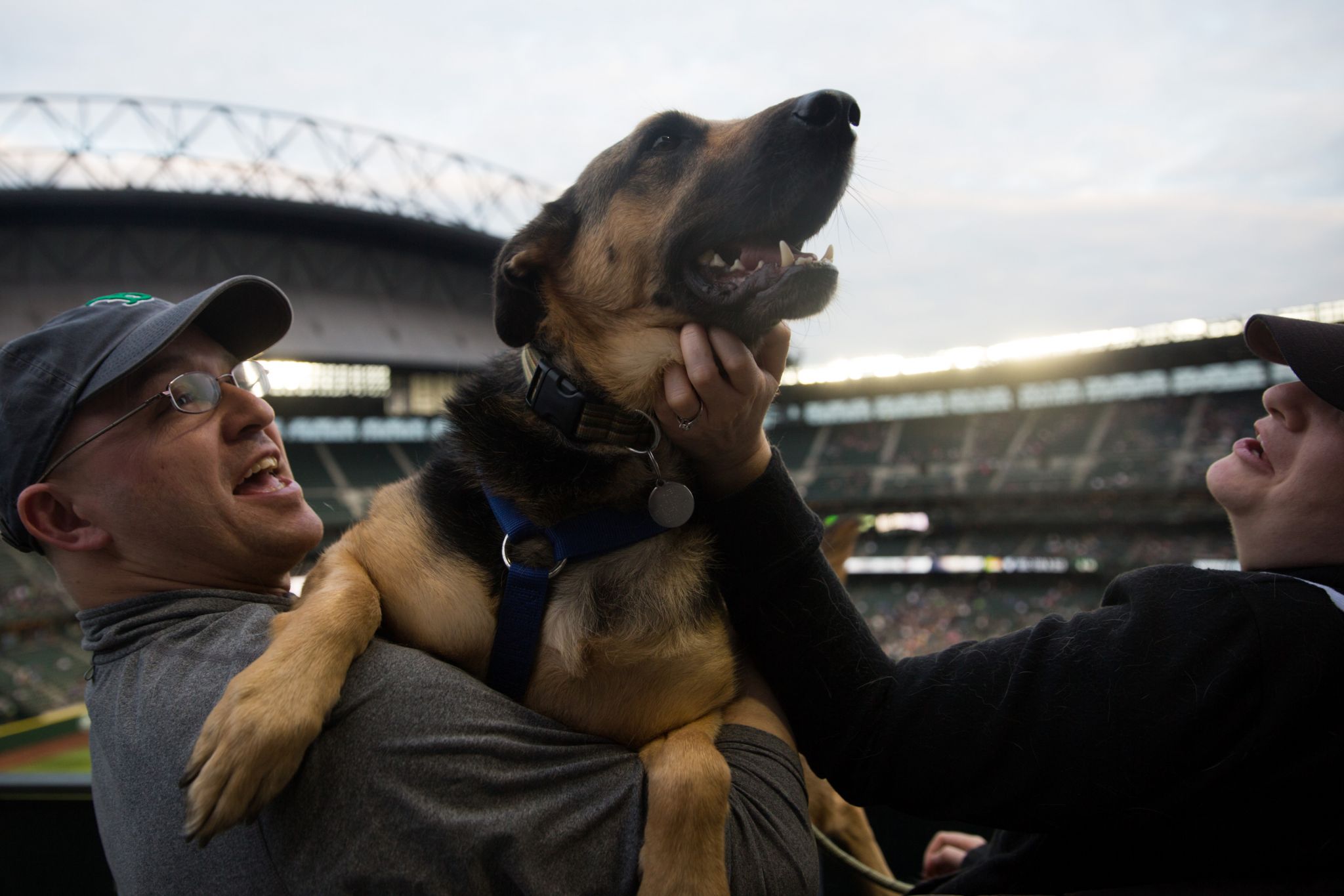 It's always a grrrrreat time at a @mariners Bark at the Park game