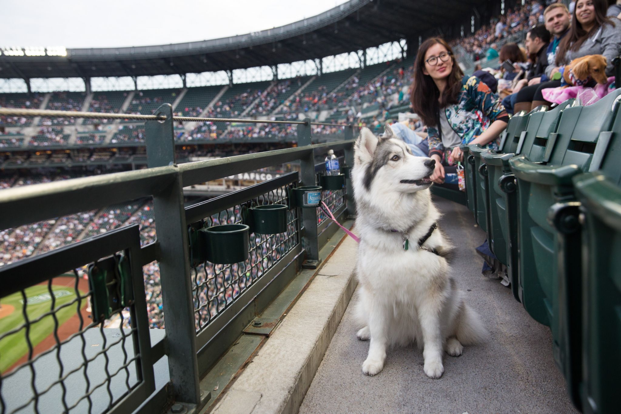 Franny's first Bark at the Park! : r/Mariners