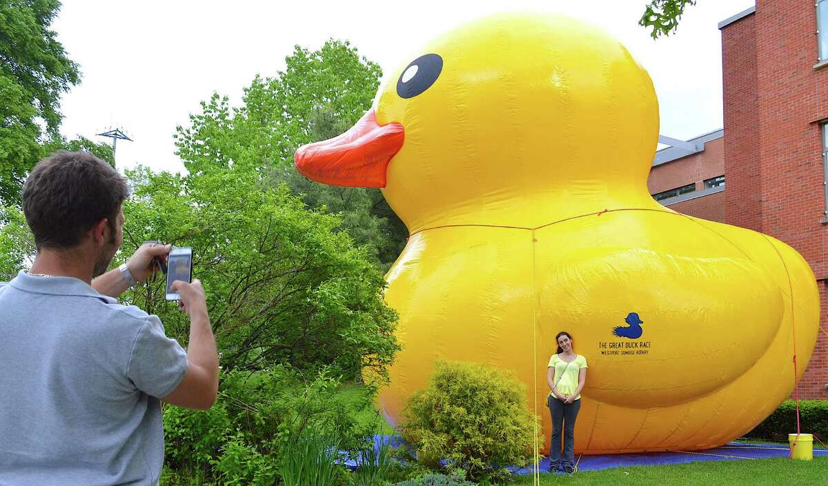 ‘Sunny’ promotes Great Duck Race in a big way