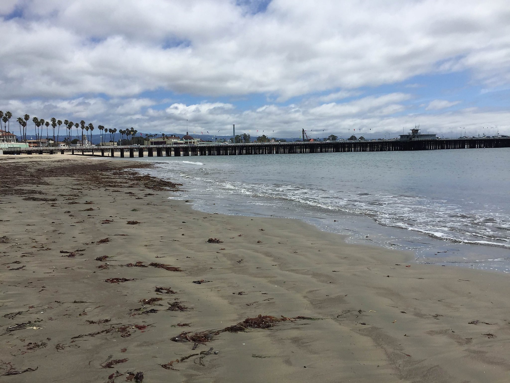 Santa Cruz beach ranked worst in water quality in California