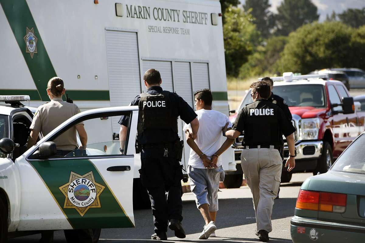 Members of the Marin County Sheriff's Office take a suspect out of a squad car for a search of his person following a raid on the Leafwood Arms apartment building on Leafwood Heights in Novato, Calif., Thursday, May 26, 2016.