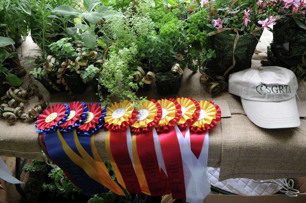 Ribbons at the Greenwich Riding and Trails Associations 90th annual Greenwich Horse Show. This year’s show is set for June 12.