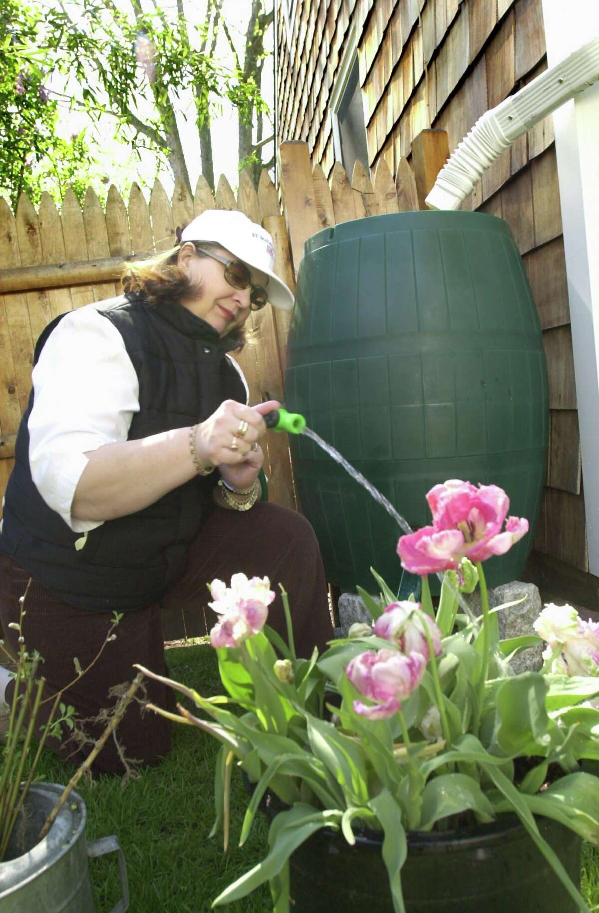 When it rains, let it pour straight into a rain barrel