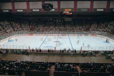 Cow Palace-era Sharks fans: Are you in these photos?