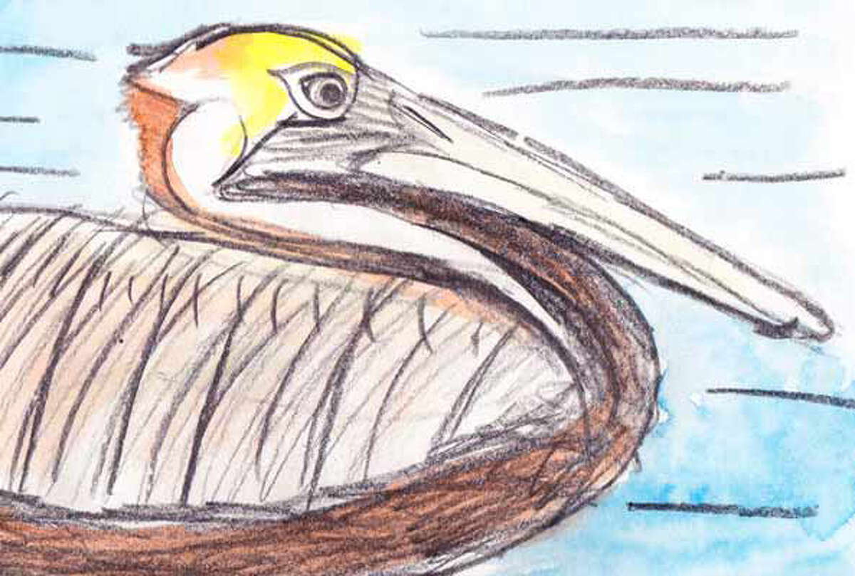 These illustrations are among "Olivia?s Birds," an exhibit that opens Saturday, June 4, at the Athens Cultural Center. The drawings and paintings of backyard and endangered birds are by young artist and environmentalist Olivia Bouler.