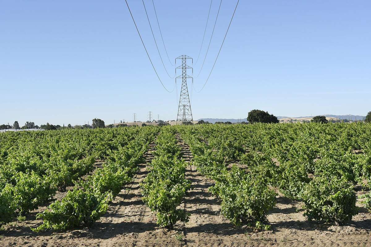 A PG&E overhead power line tower is seen in the the middle of Evangelho Vineyard in Antioch, CA Wednesday, June 1st, 2016.