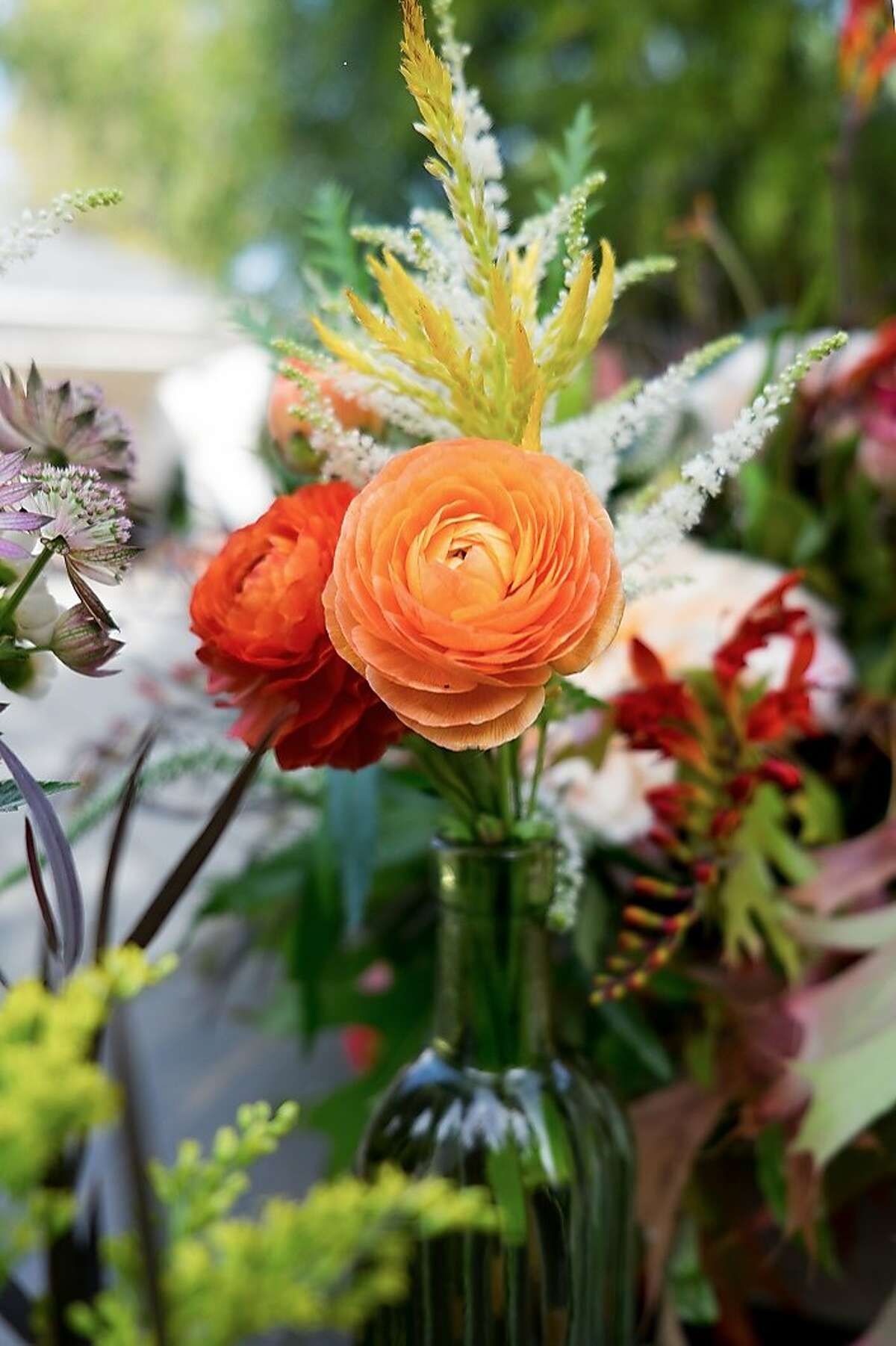Dig into floral design with a class on the art of arranging presented by members of the McEvoy Ranch garden team. 9:30 a.m.-12:30 p.m. June 10. McEvoy Ranch, 5935 Red Hill Road, Petaluma.