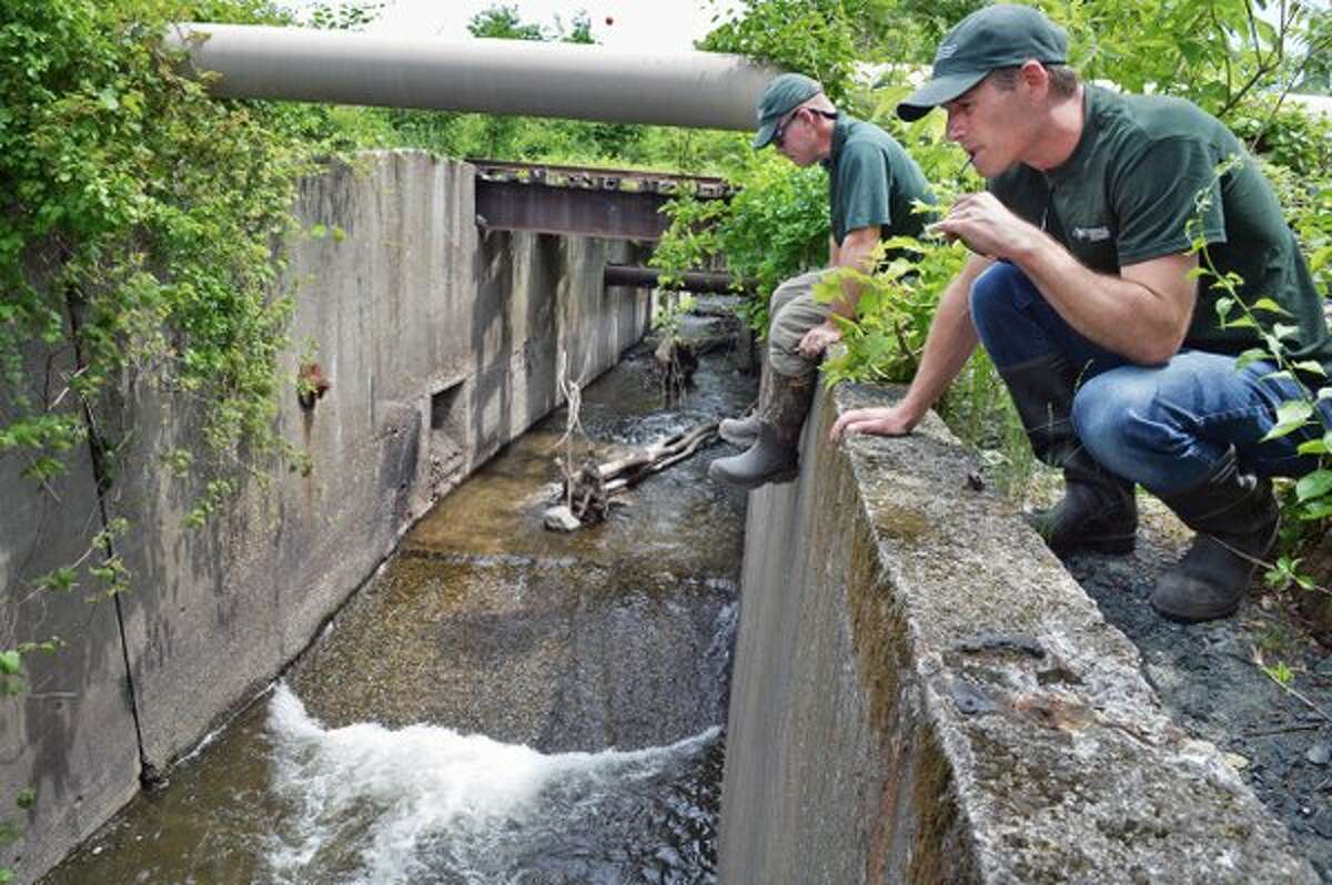 The state Departnent of Environmental Conservation Department's Gregg Kenney and Scott Cuppett look for herring at the now clear mouth of the Wynants Kill in Troy on Thursday. (John Carl D'Annibale / Times Union)