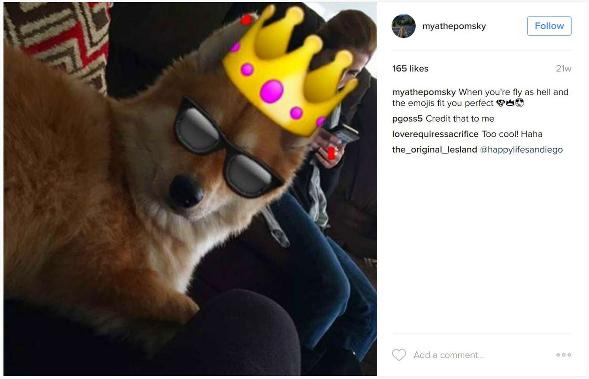 East Ham Central park (2026) - All You Need to Know BEFORE You Go (with  Reviews), image size:1920x1234