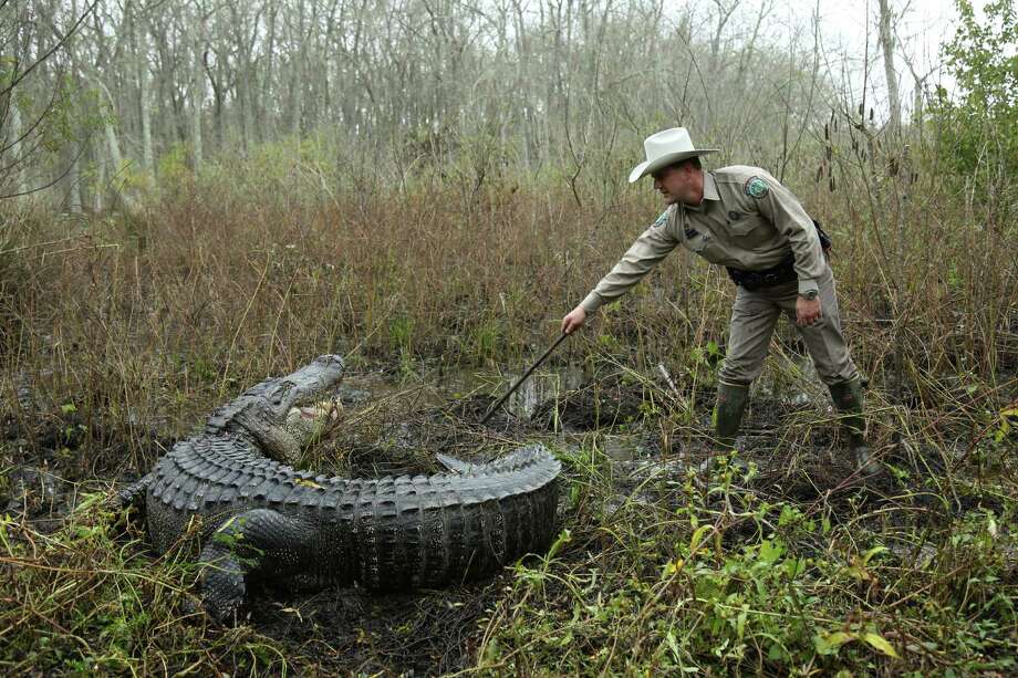 Game wardens shine in 'Lone Star Law' Houston Chronicle