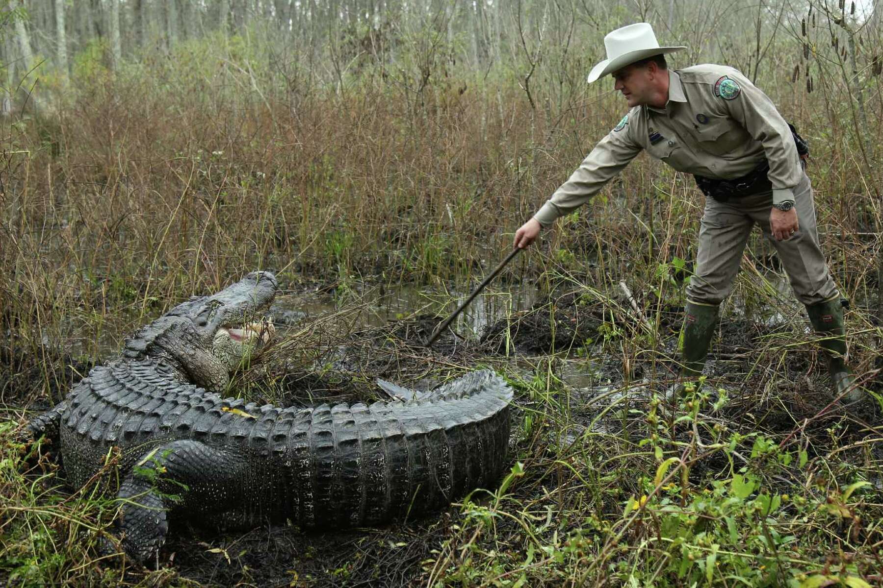 Game wardens shine in 'Lone Star Law'