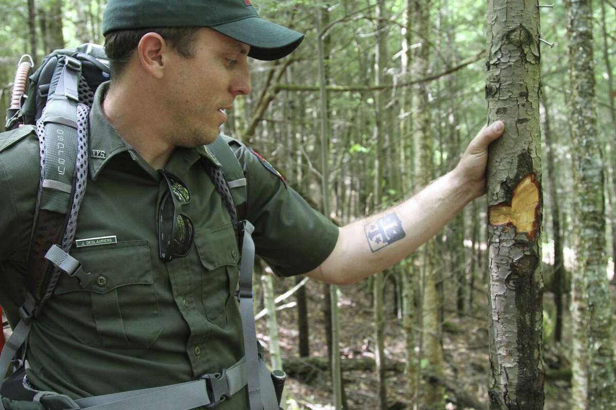 For Forest Rangers Saving Lives And Seeing Lives Lost Is Part Of Territory
