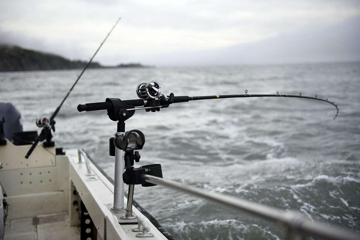 Real local halibut comes straight from the bay to area restaurants