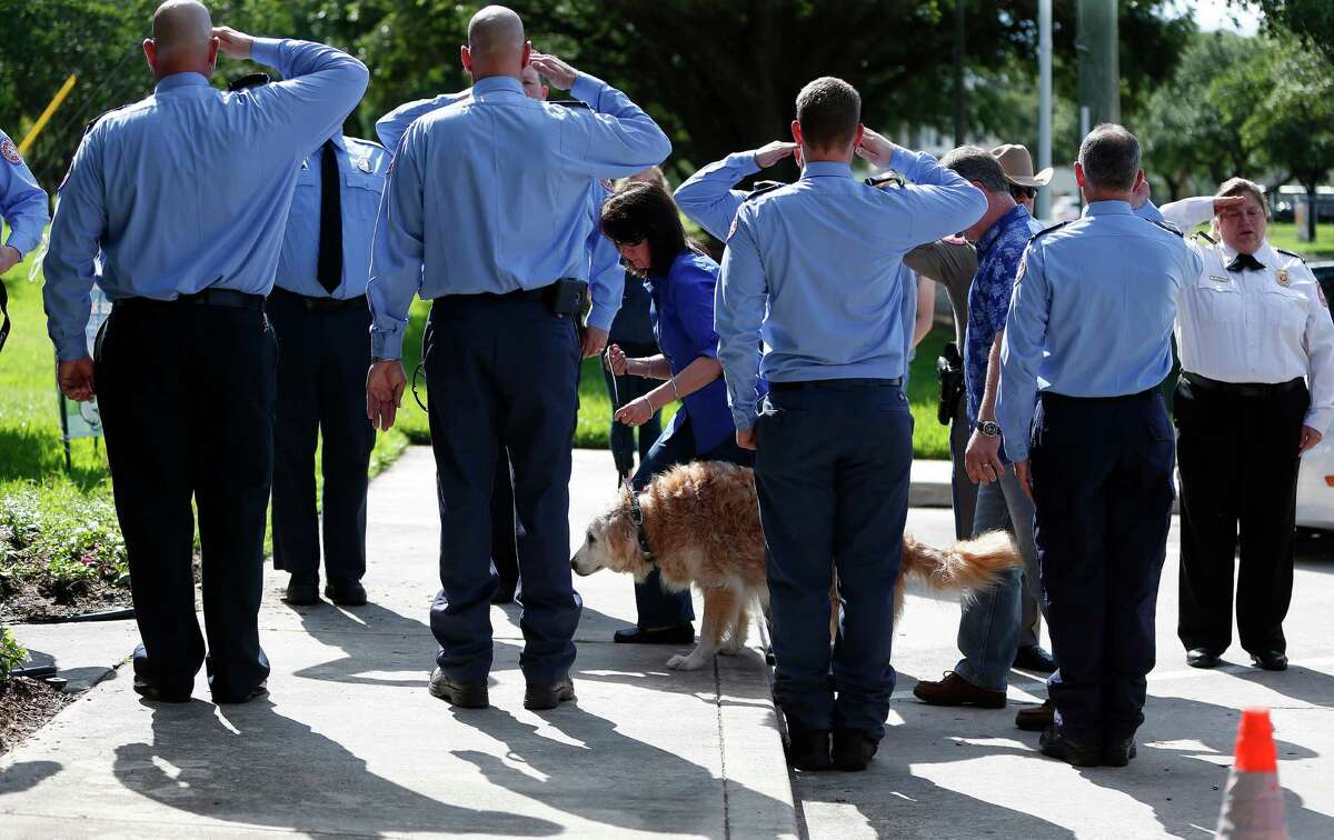 Bretagne, a 16-year-old golden retriever, and the last surviving search and rescue dog from 9/11, is walked, by her handler Denise Corliss, past a flank of members of the Cy-Fair Volunteer Fire Department, as she was brought into the Fairfield Animal Hospital, Monday, June 6, 2016, in Cypress, to be euthanized.