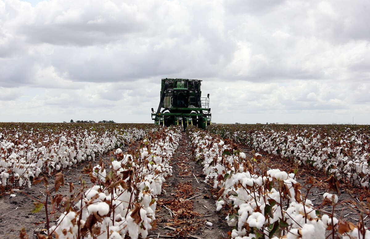Cotton farmers to get 300 million in federal aid