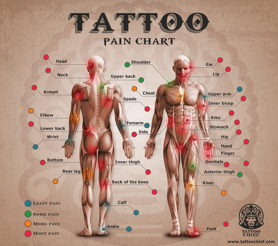 Is It Necessary To Consider A Tattoo Pain Chart During Tattooing? | by  Thepremierpain | Medium